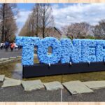 千本桜とネモフィラ