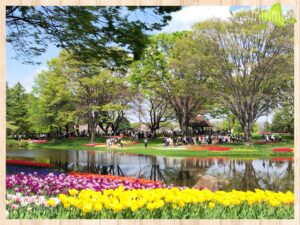 桜とチューリップ