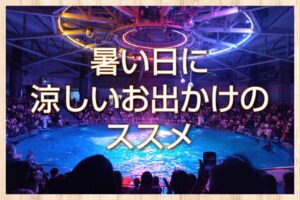 暑い日に涼しいお出かけのススメ