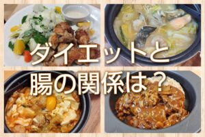 ダイエットと腸の関係
