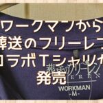 ワークマンから葬送のフリーレンコラボＴシャツが発売されたから購入してみた