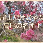 2026 高尾山と梅郷