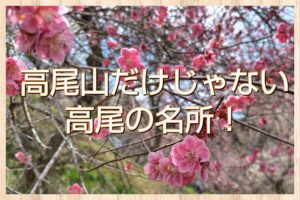 2026 高尾山と梅郷