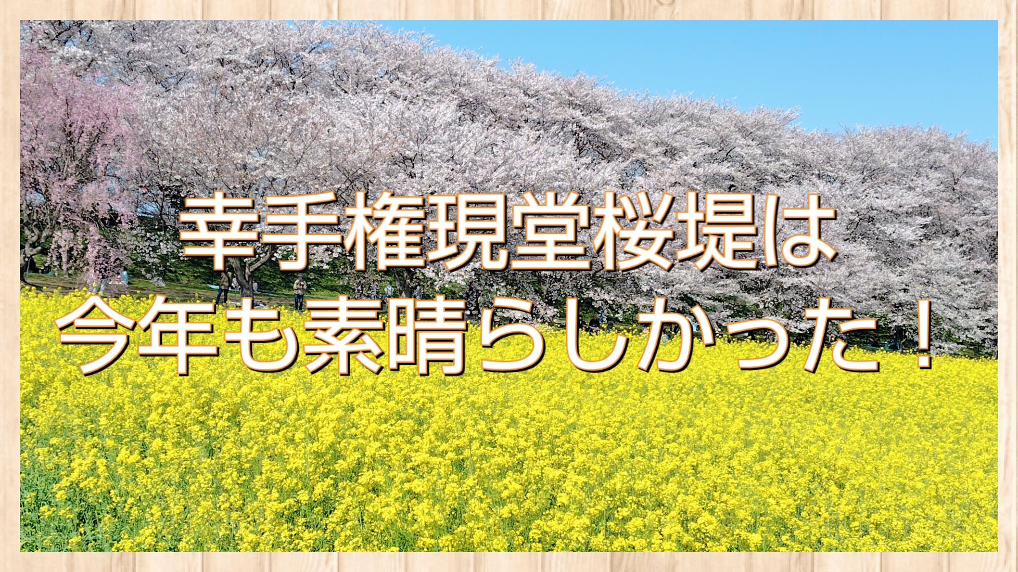 幸手権現堂桜堤の桜は今年も美しかった!